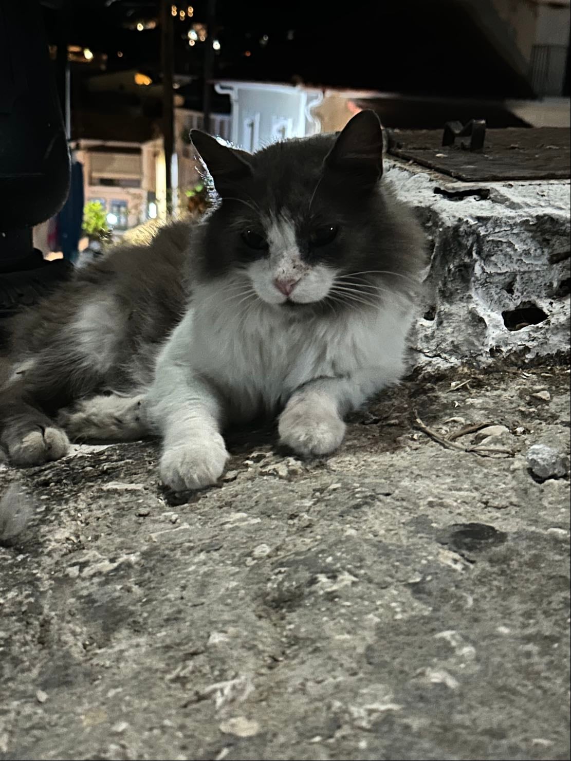 Fluffy