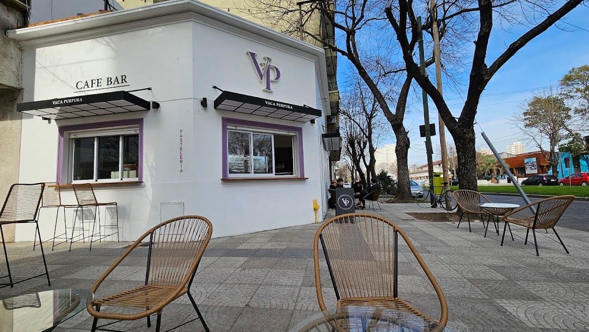 Vaca PĂșrpura - la plata