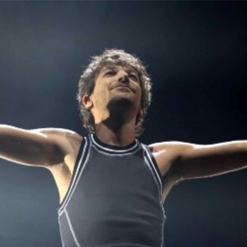 “you mean everything to someone so don’t give up” - ~ Louis Tomlinson