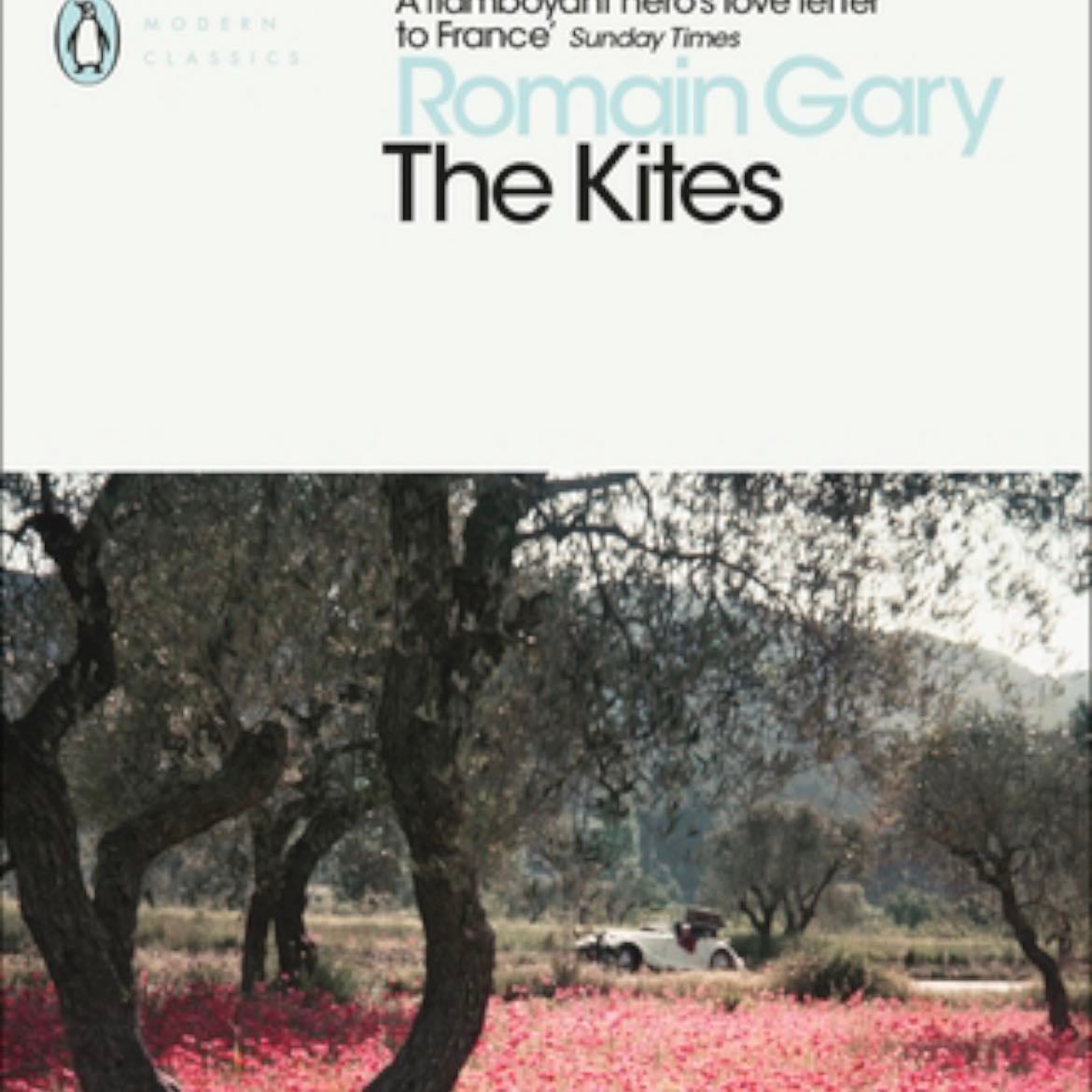 The Kites - Romain Gary · 2019