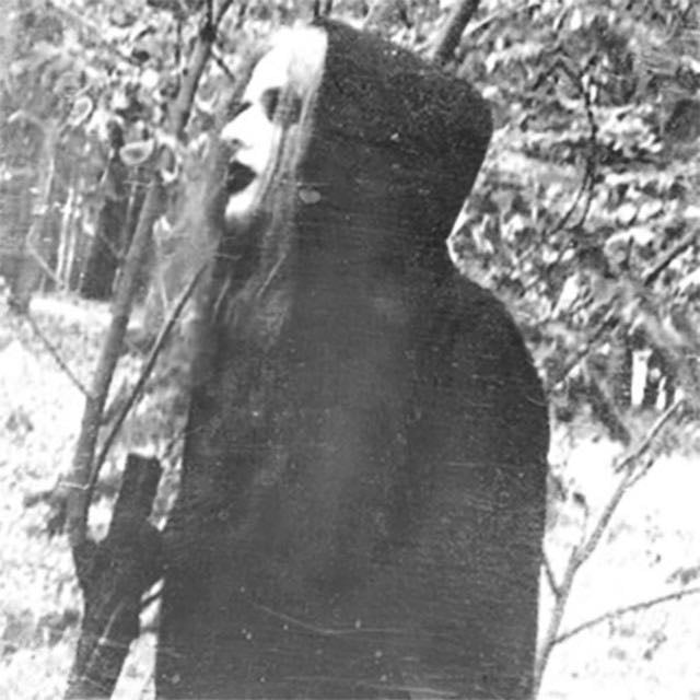K毛kht Ar盲kh - Artist