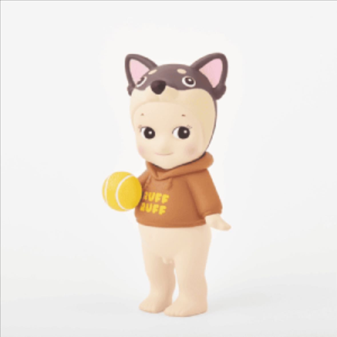 chihuahua - dog time series