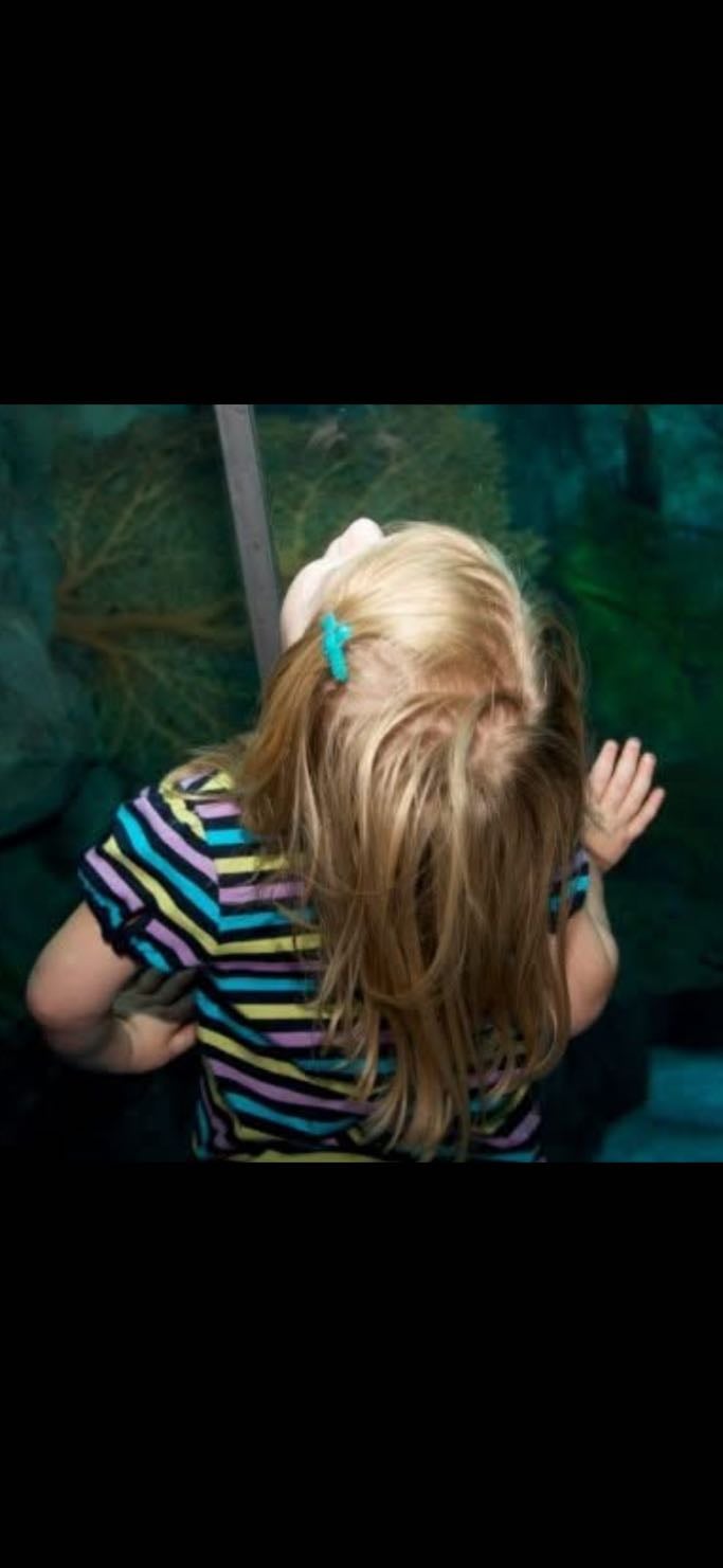 omaha zoo - omaha, nebraska