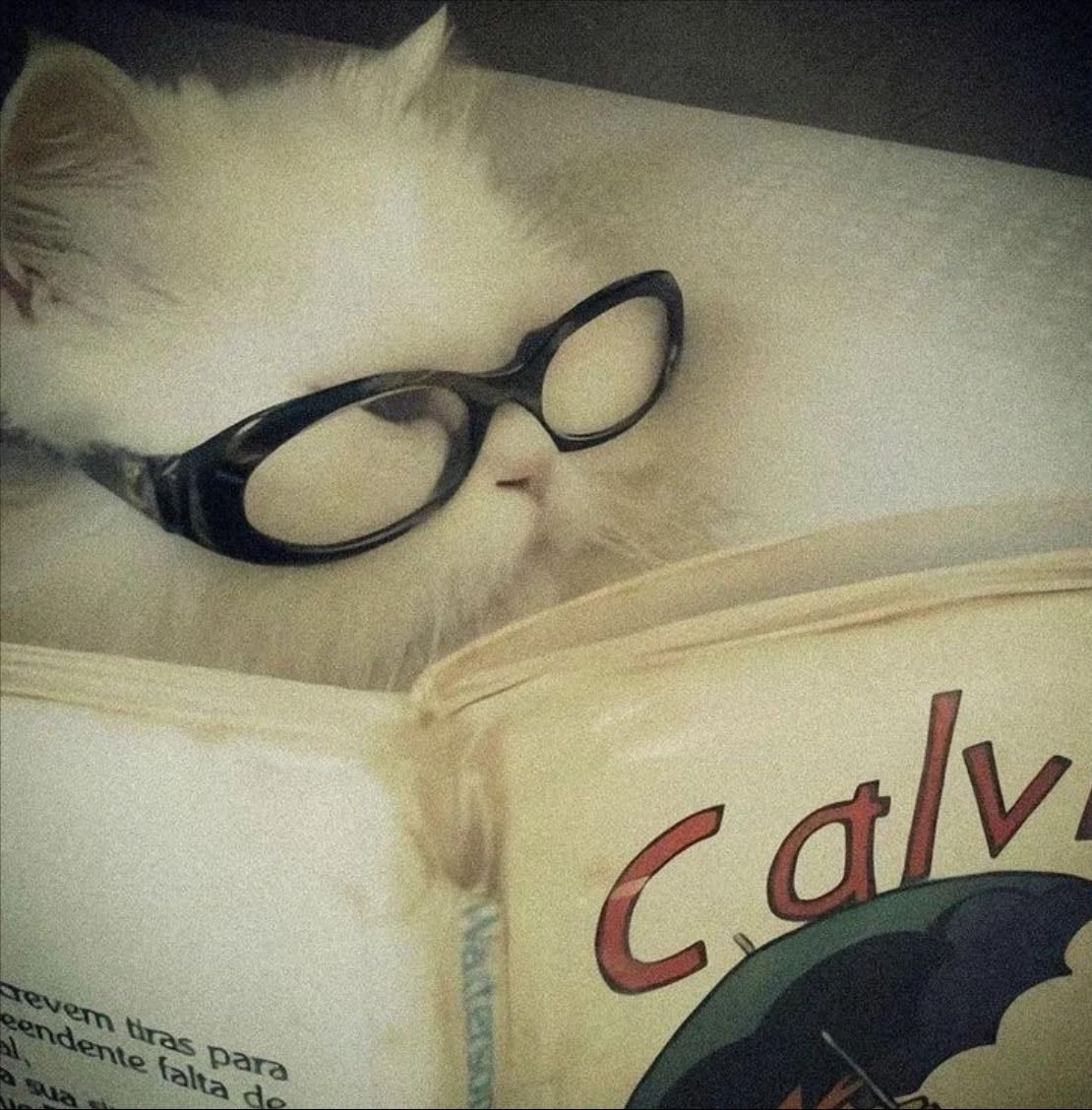 READS - Books hypelist by J.M