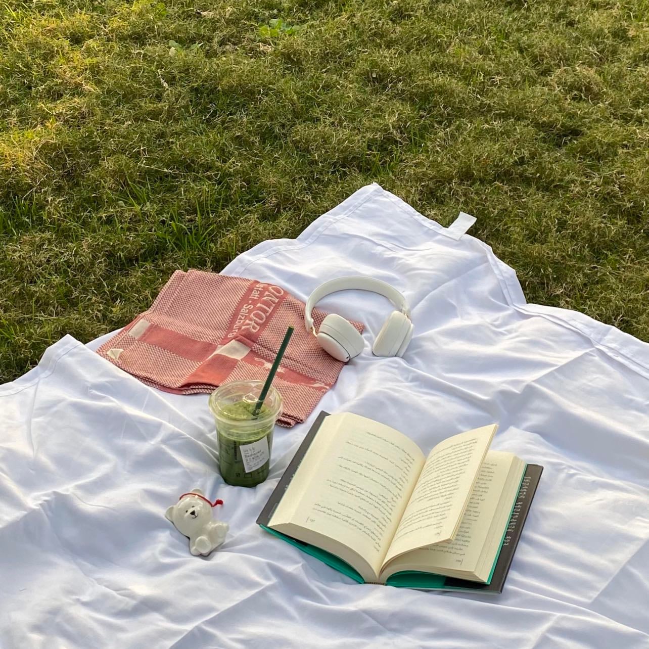Picnic in the park