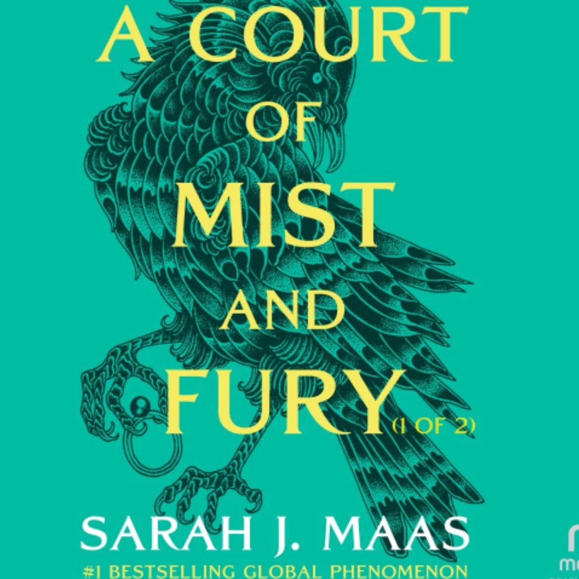 a court of mist and fury - sarah j. maas