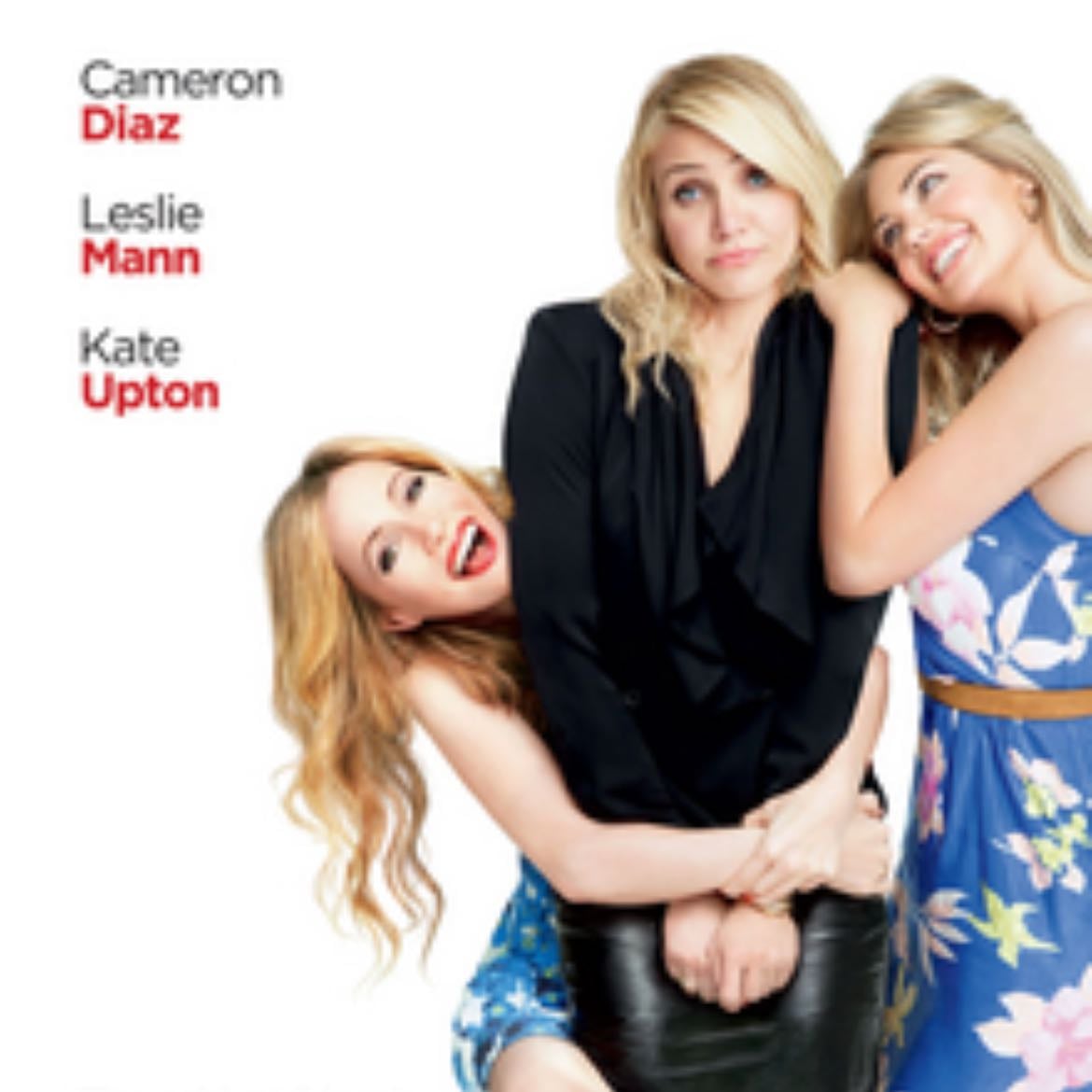 The Other Woman - Nick Cassavetes · 2014