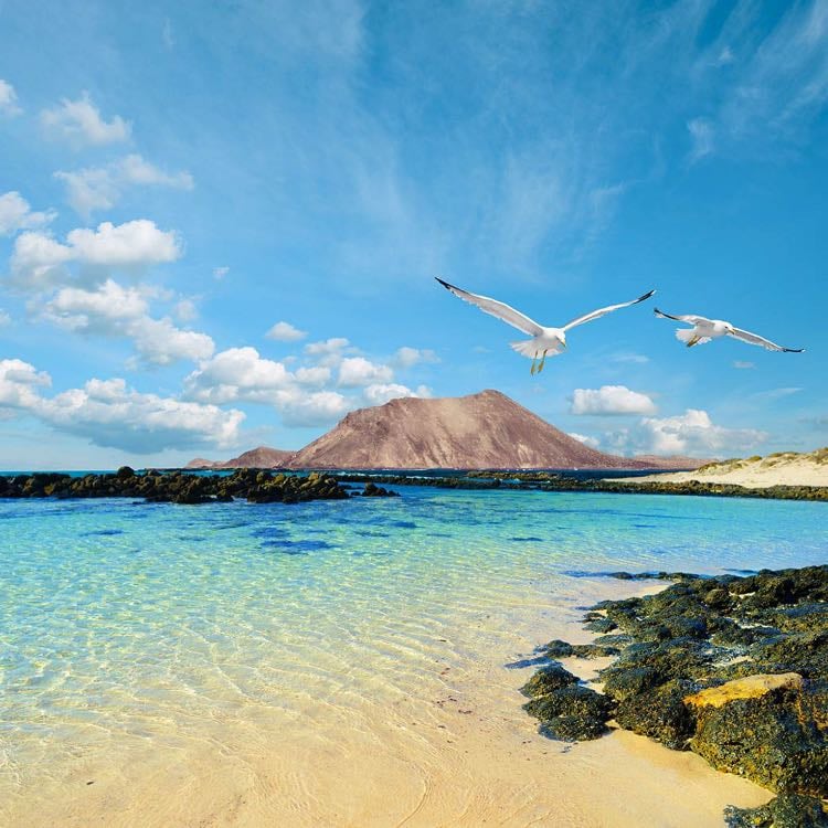 Fuerteventura