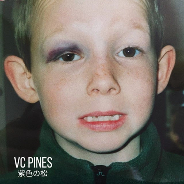 Taste Your Love - Song · VC Pines