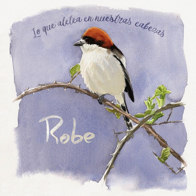 Nana Cruel - Song · Robe