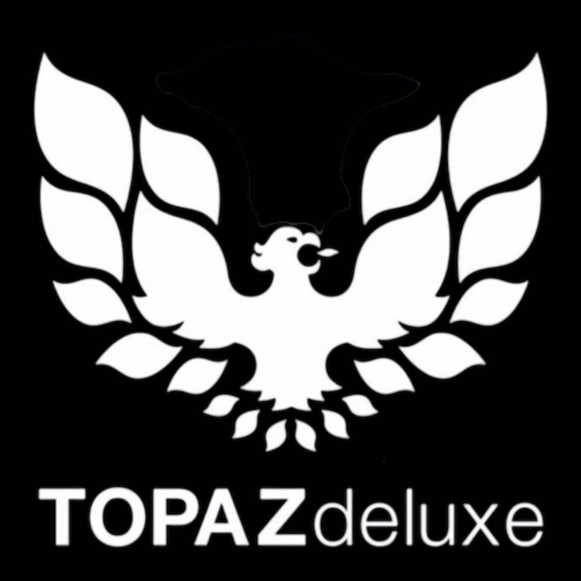 Topaz Deluxe - Él primero y que por mucho tiempo fue el único disco bar de techno al que llegue a asistir. Donde llegue a encariñarme mas con este hermoso genero y a explorar mucho mas alla de lo que estaba acostumbrado. Ubicado en Padre Mier en el Centro de Monterrey.