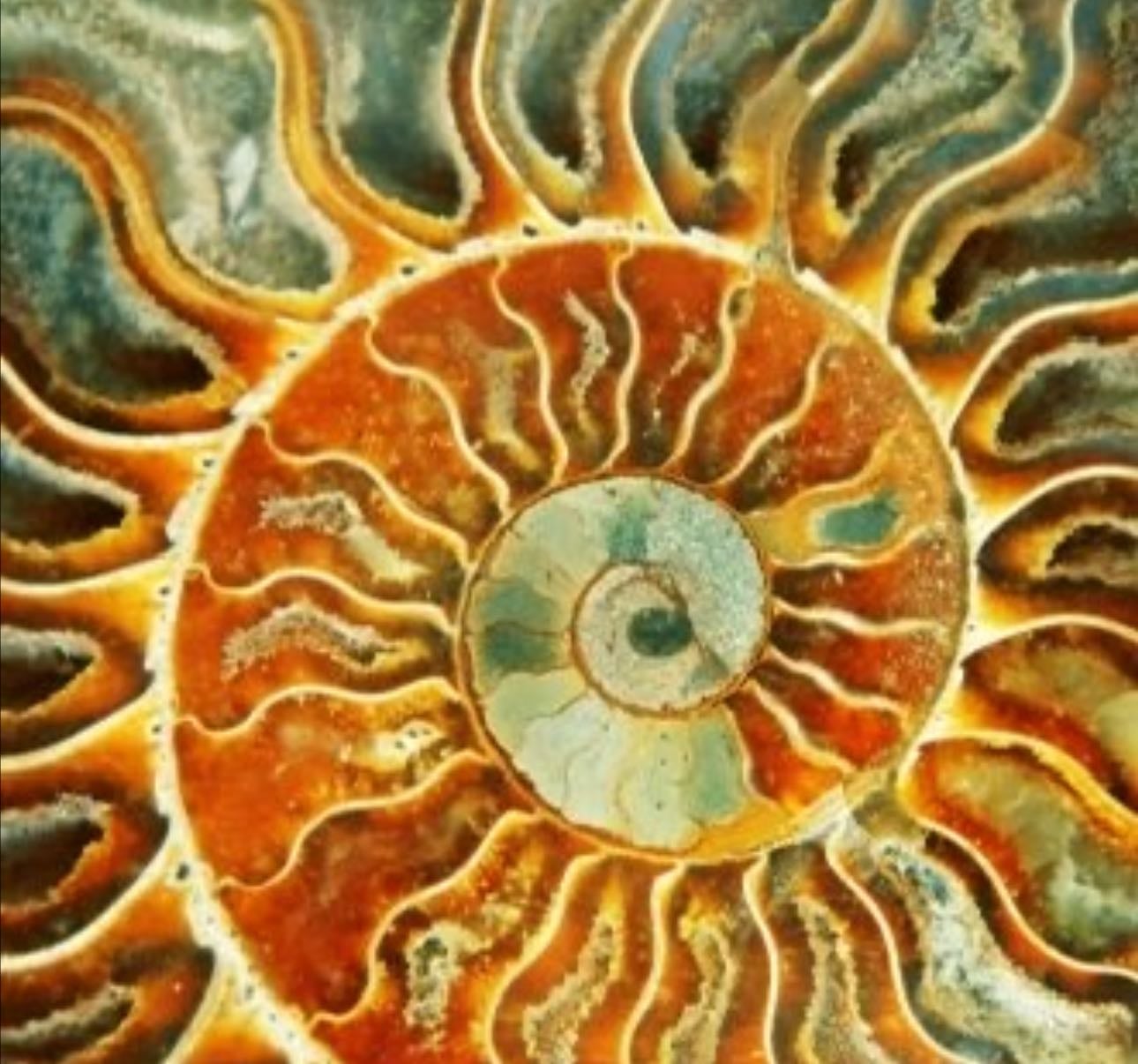 Albuns - Music hypelist by Lara