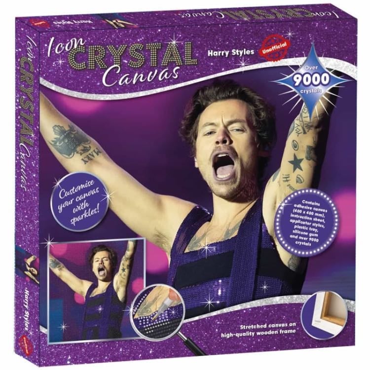 Crystal painting Harry styles
