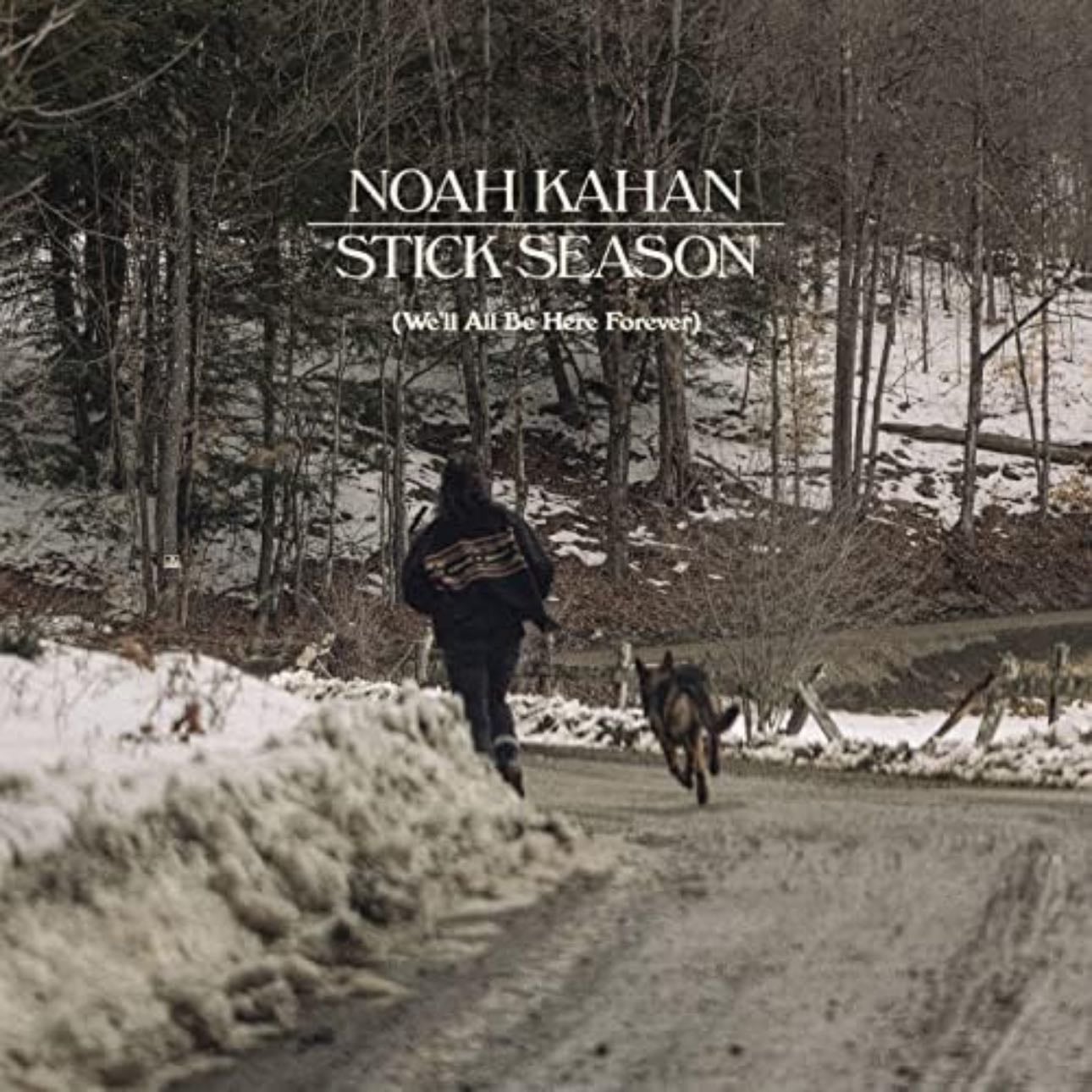 stick season (we’ll all be here forever) - noah kahan