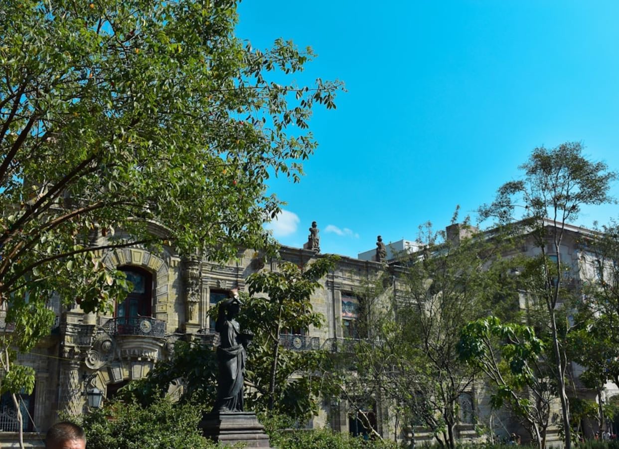 Guadalajara👑