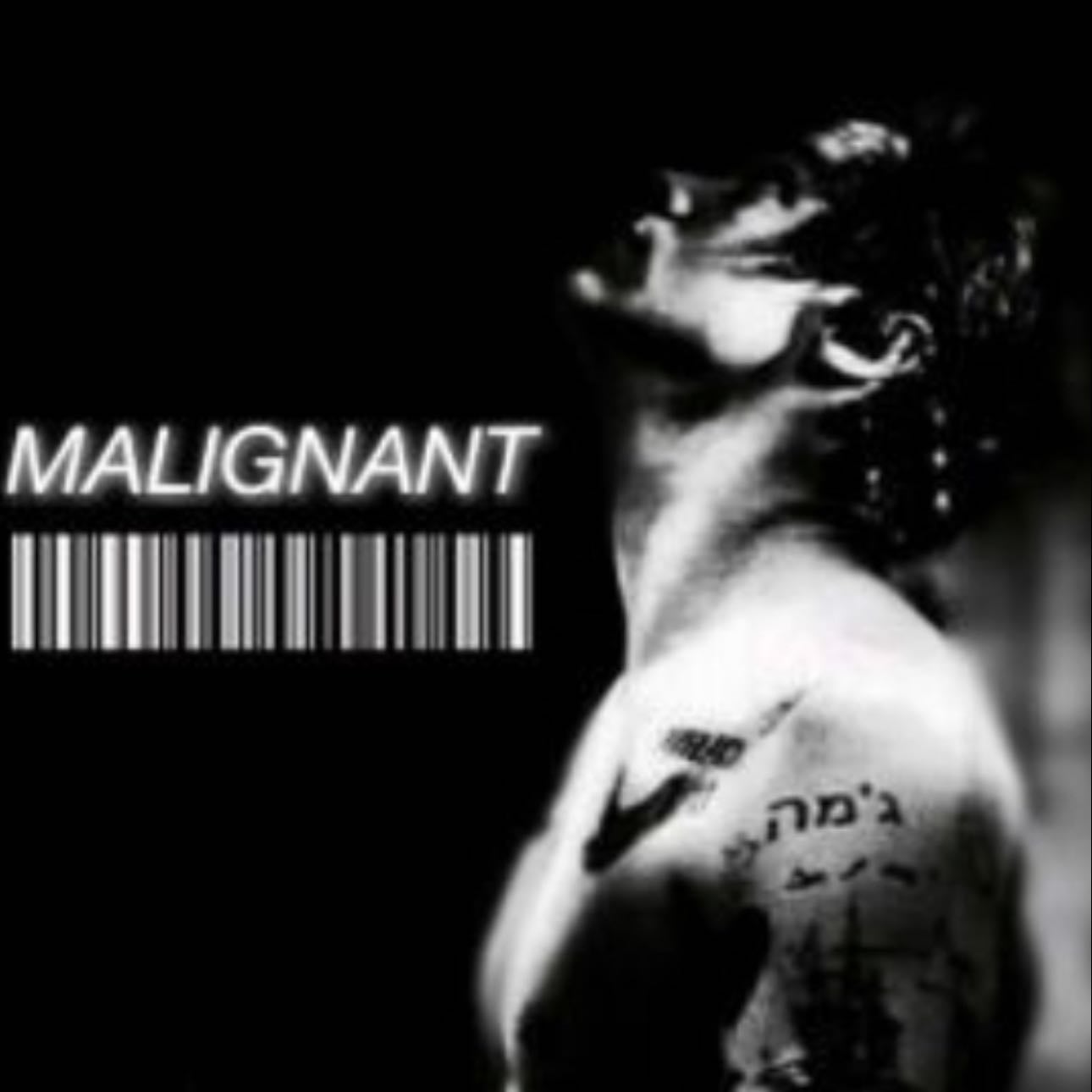 Malignant - Fanfic- author: happydays1d