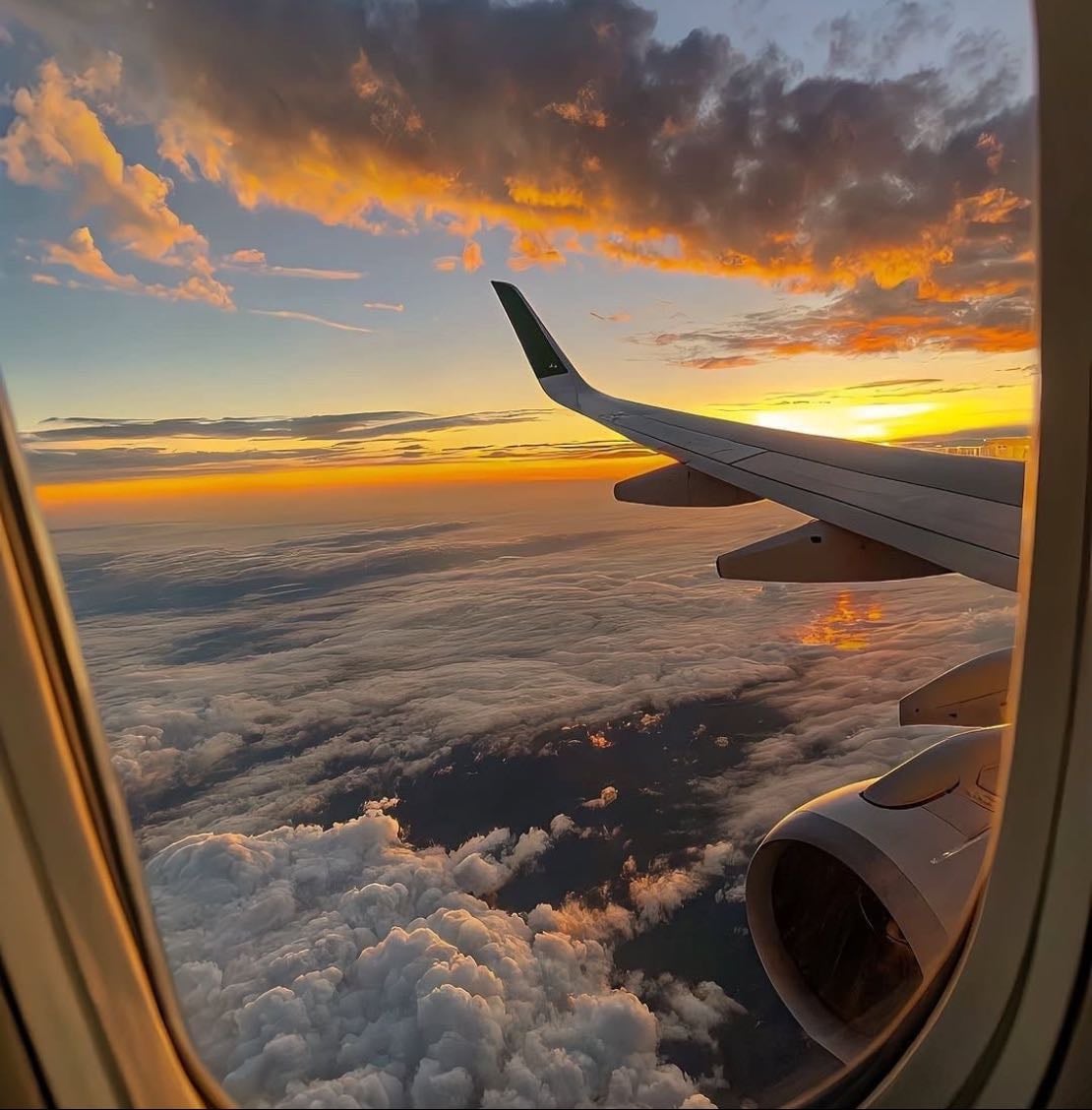 🛫the little travel agency