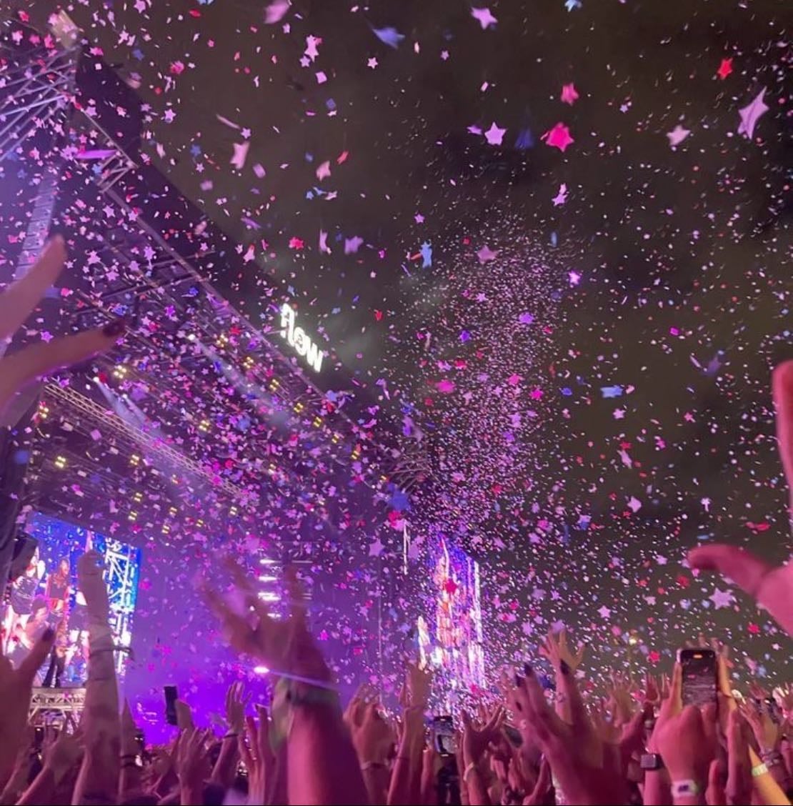 🎸the concert journal