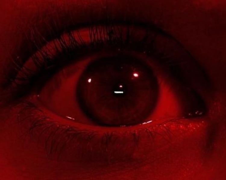 movies i've seen in januaryyy - Movies hypelist by FERNANDITA馃尮馃寵