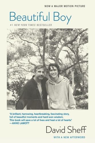 Beautiful Boy - David Sheff · 2009