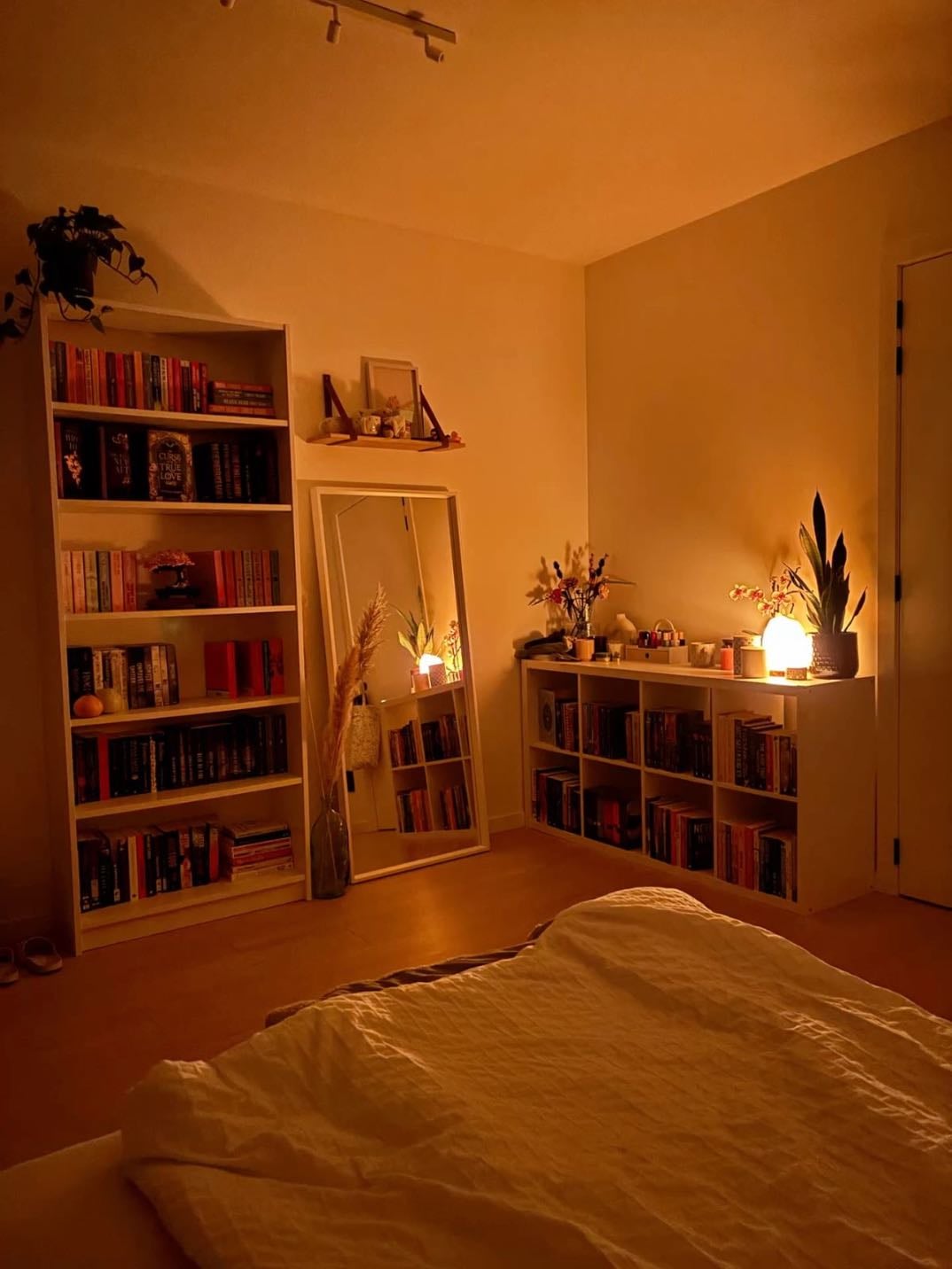 shelf 2