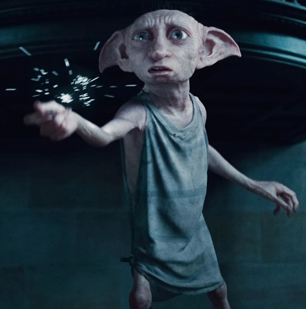 Dobby - COME BACKL🙏😭