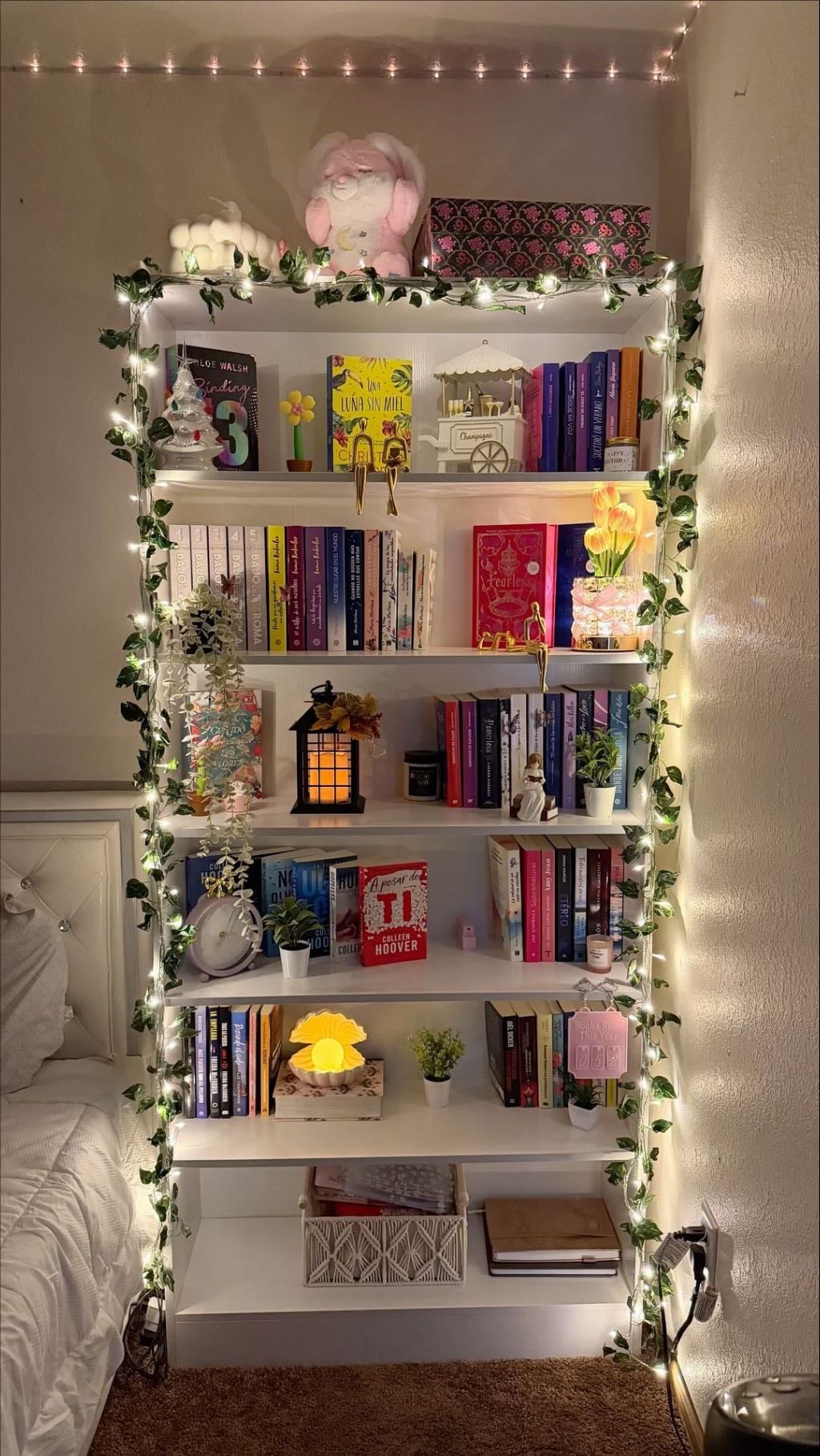 shelf 1