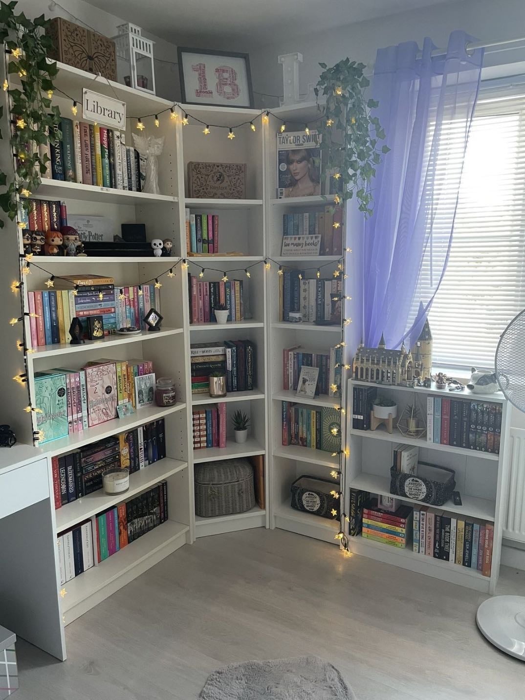 shelf 4