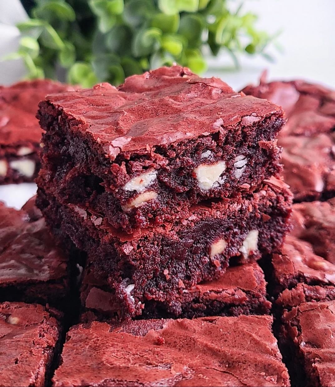 BROWNIE RED VELVET