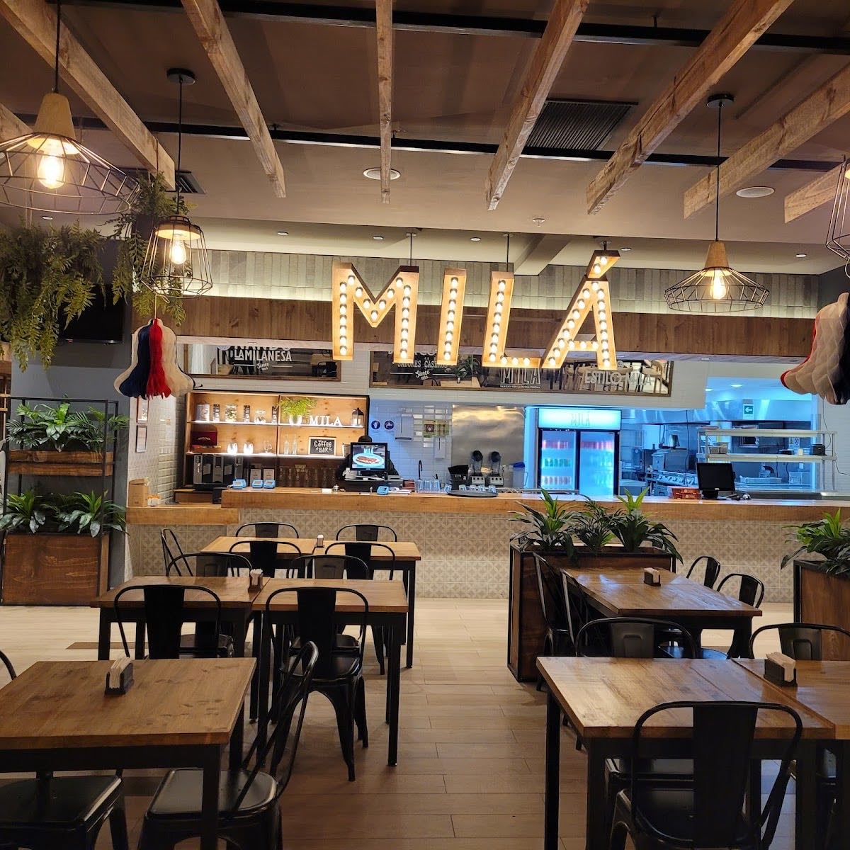 Mila - entradas perfeitas e criativas/diferentes. cacio e pepe delicioso