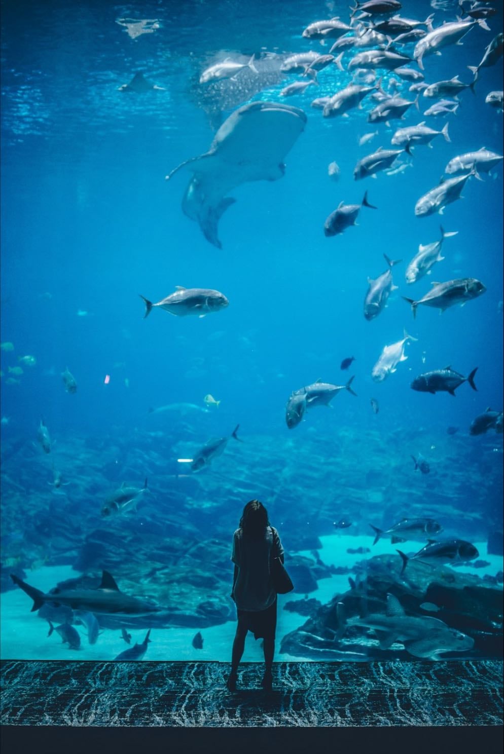 Aquarium