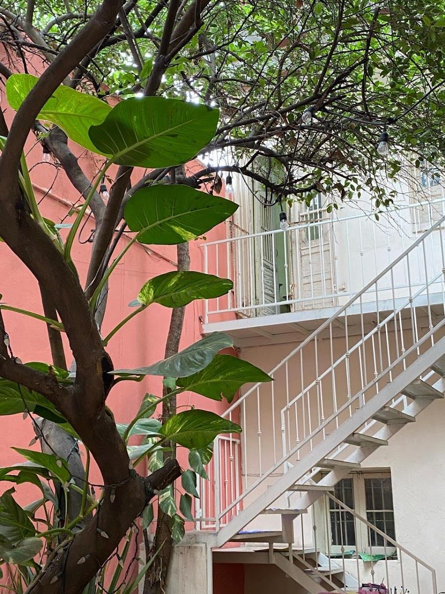 Casa Motis