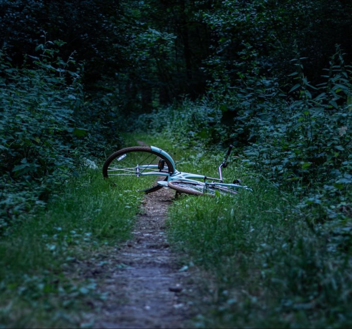 thriller and true crime - Movies hypelist by Maria Vera