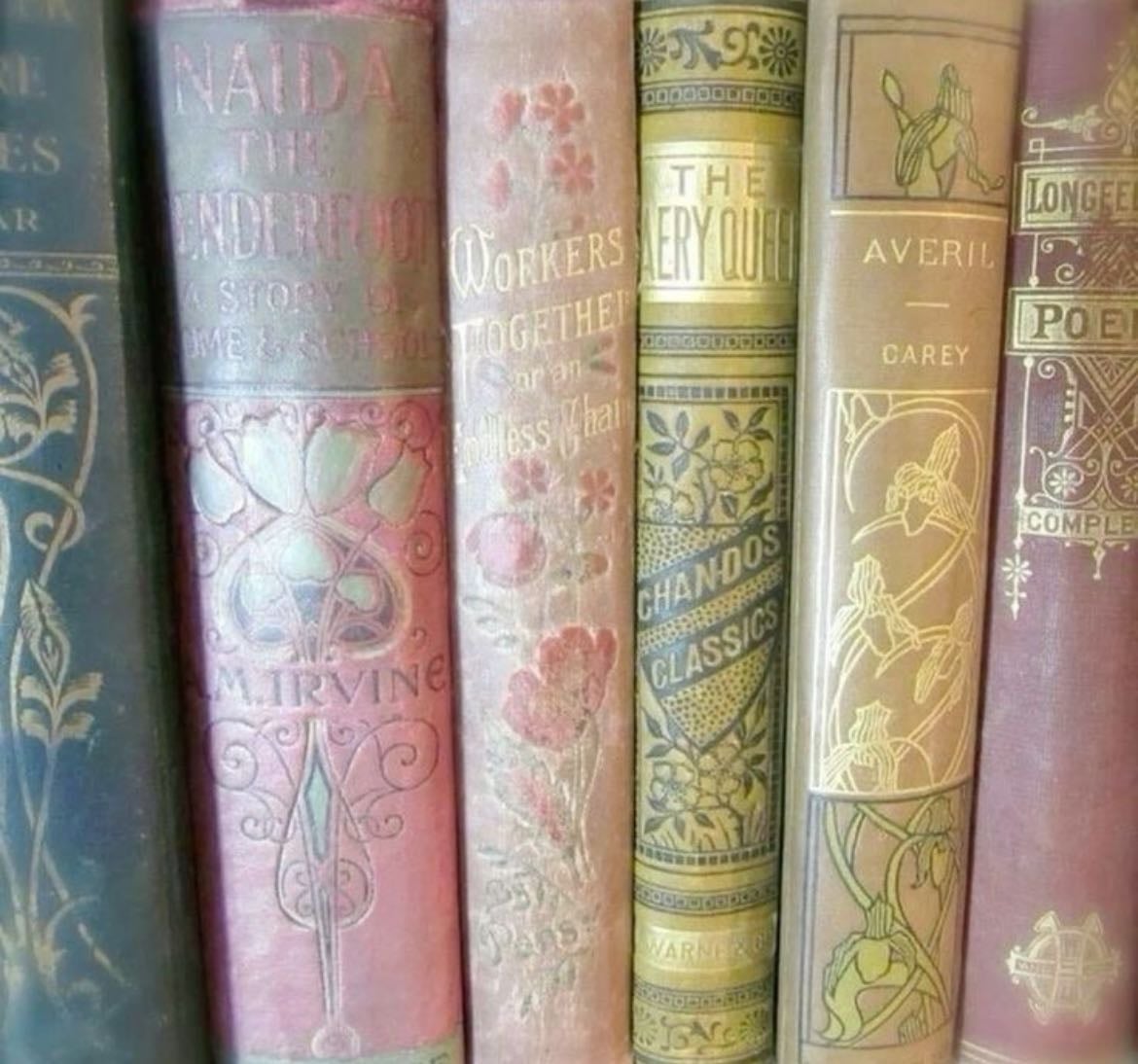 Amazon book finds ⋆˚✿˖°