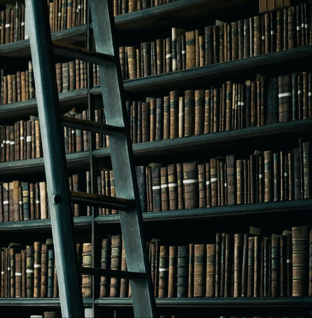 Libros esenciales para mi existencia.