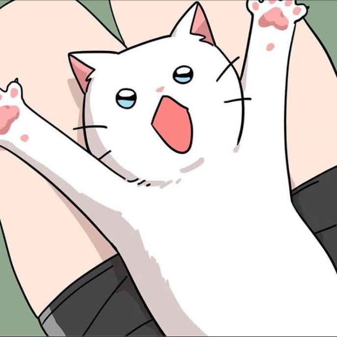 Miau Man - Olso