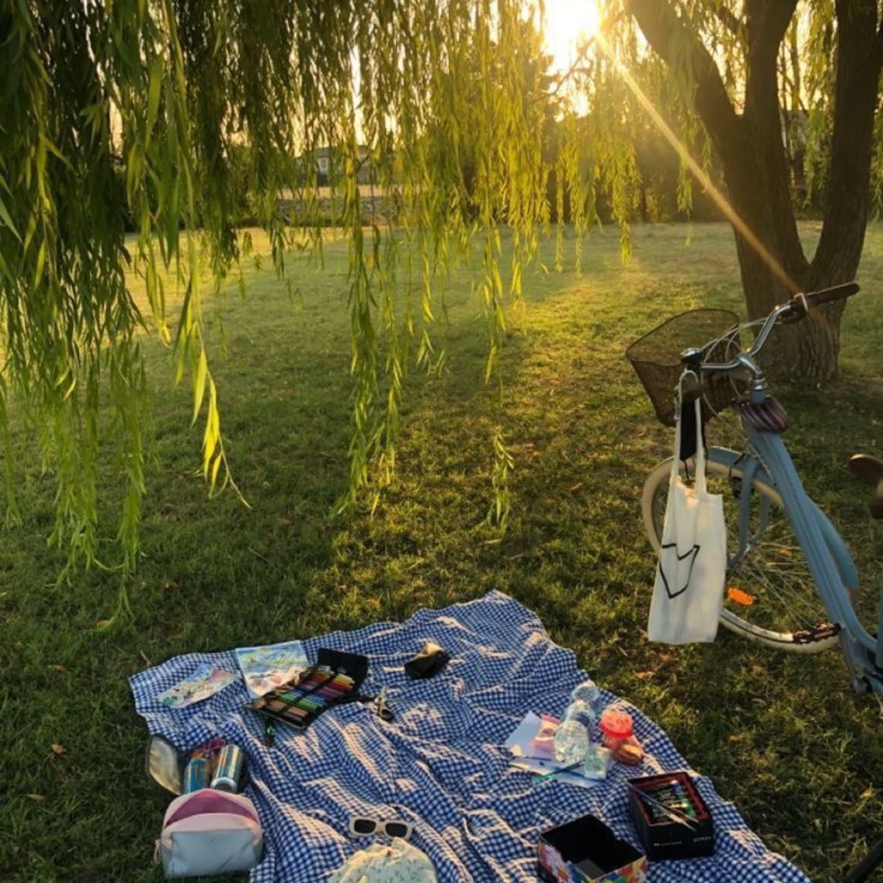 ๐งบ Picnic date