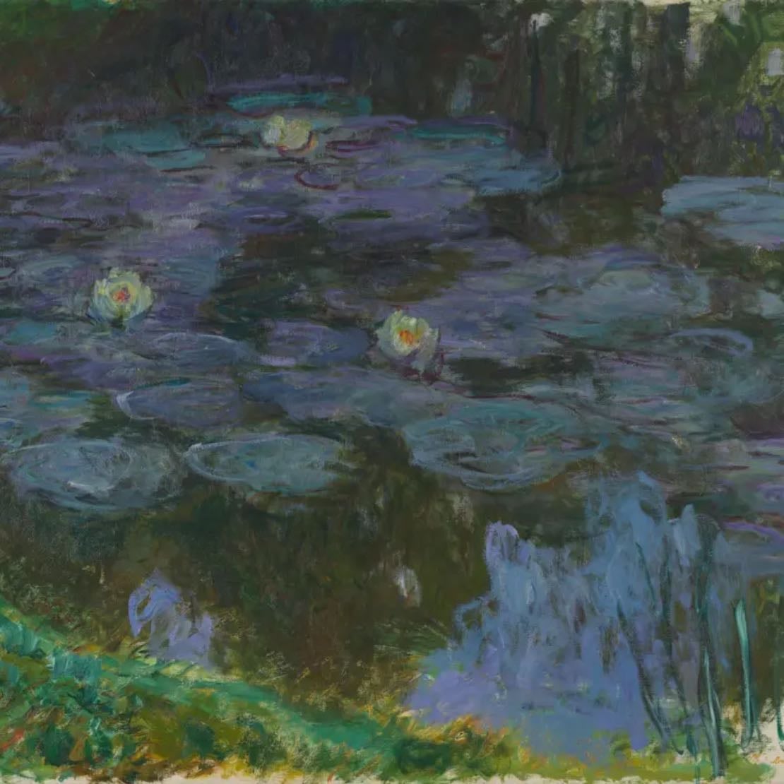 Water Lilies