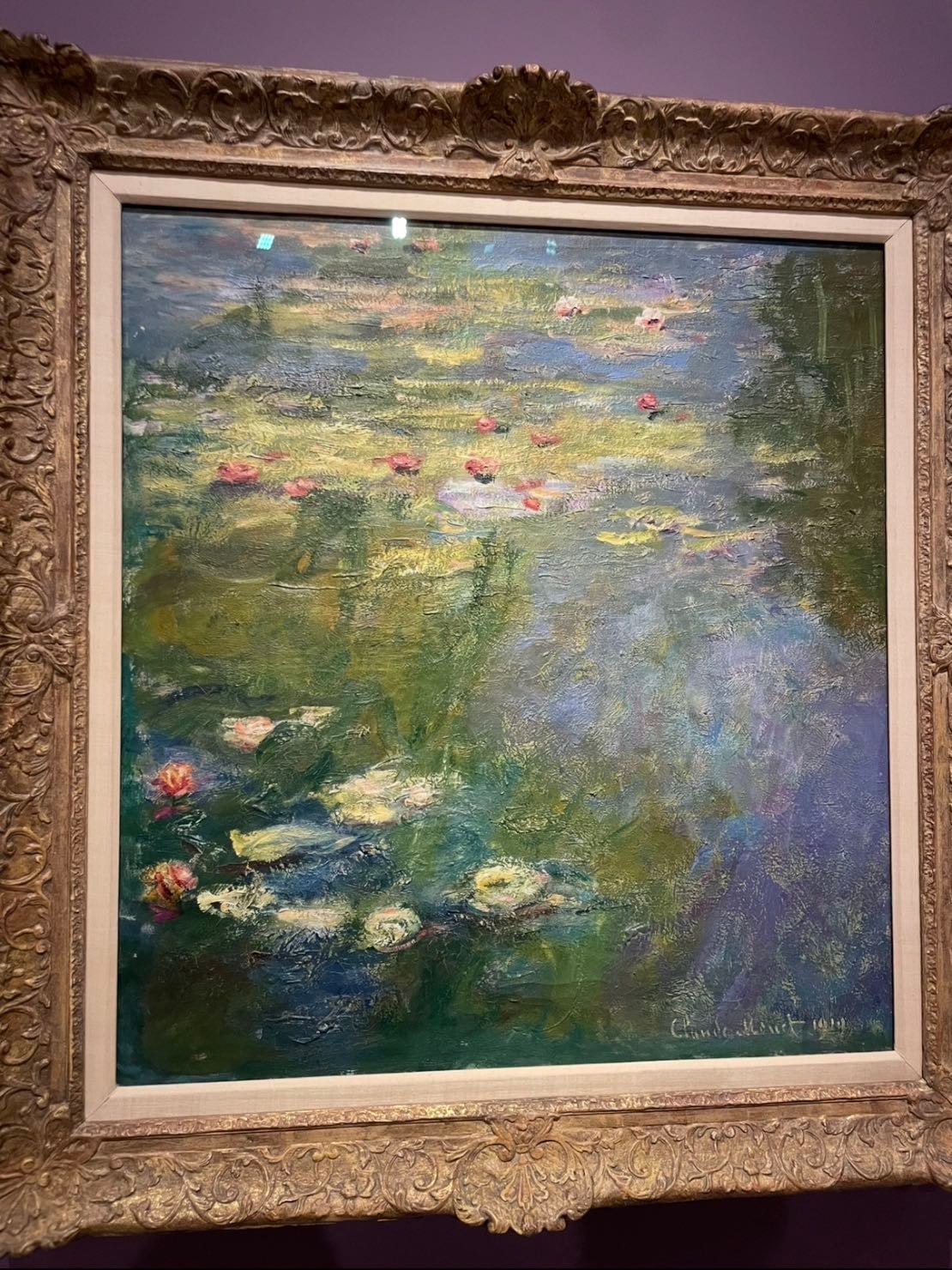 Water lilies