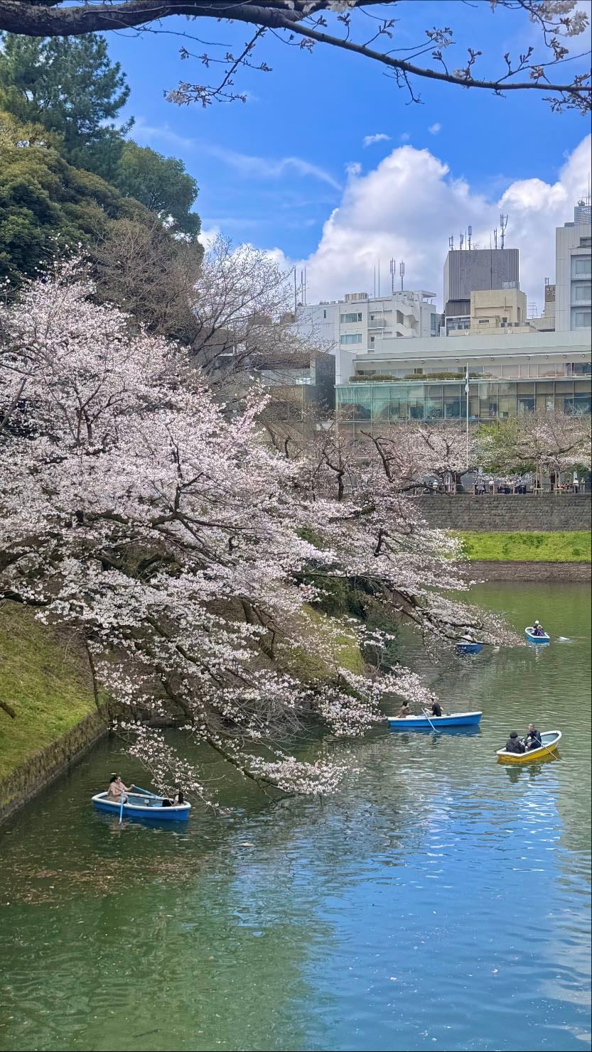 武道館