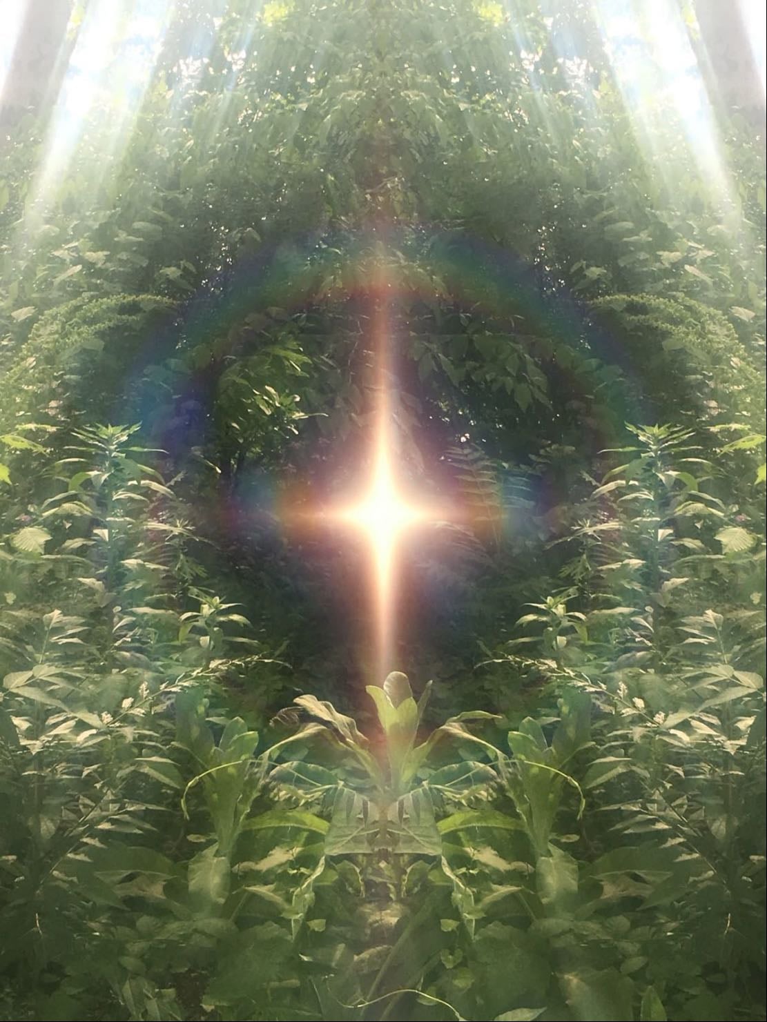 Visualisation Sleep Meditation inspired by Neville Goddard
