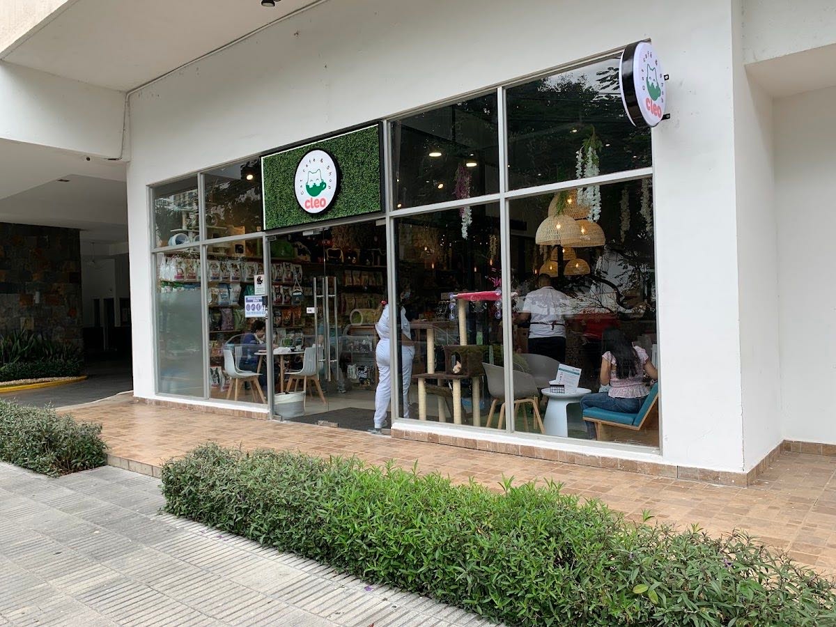 Cleo Cat Café & Shop
