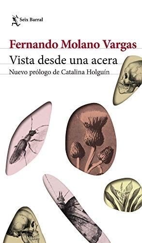 Vista desde una acera - Fernando Molano Vargas · 2012
