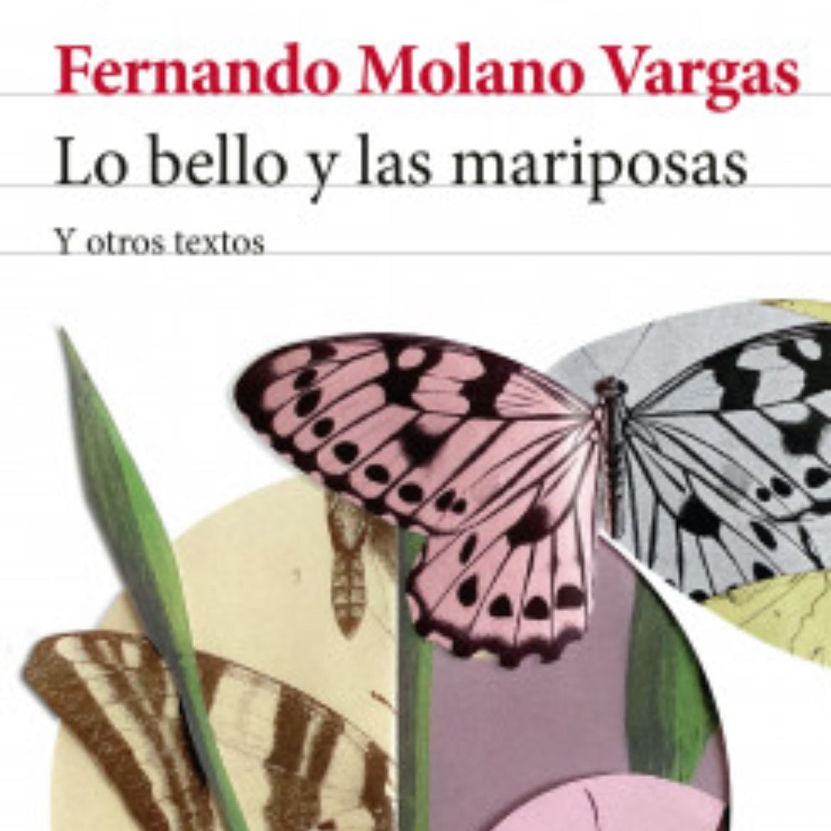 Lo bello y las mariposas - Fernando Molano Vargas · 2023