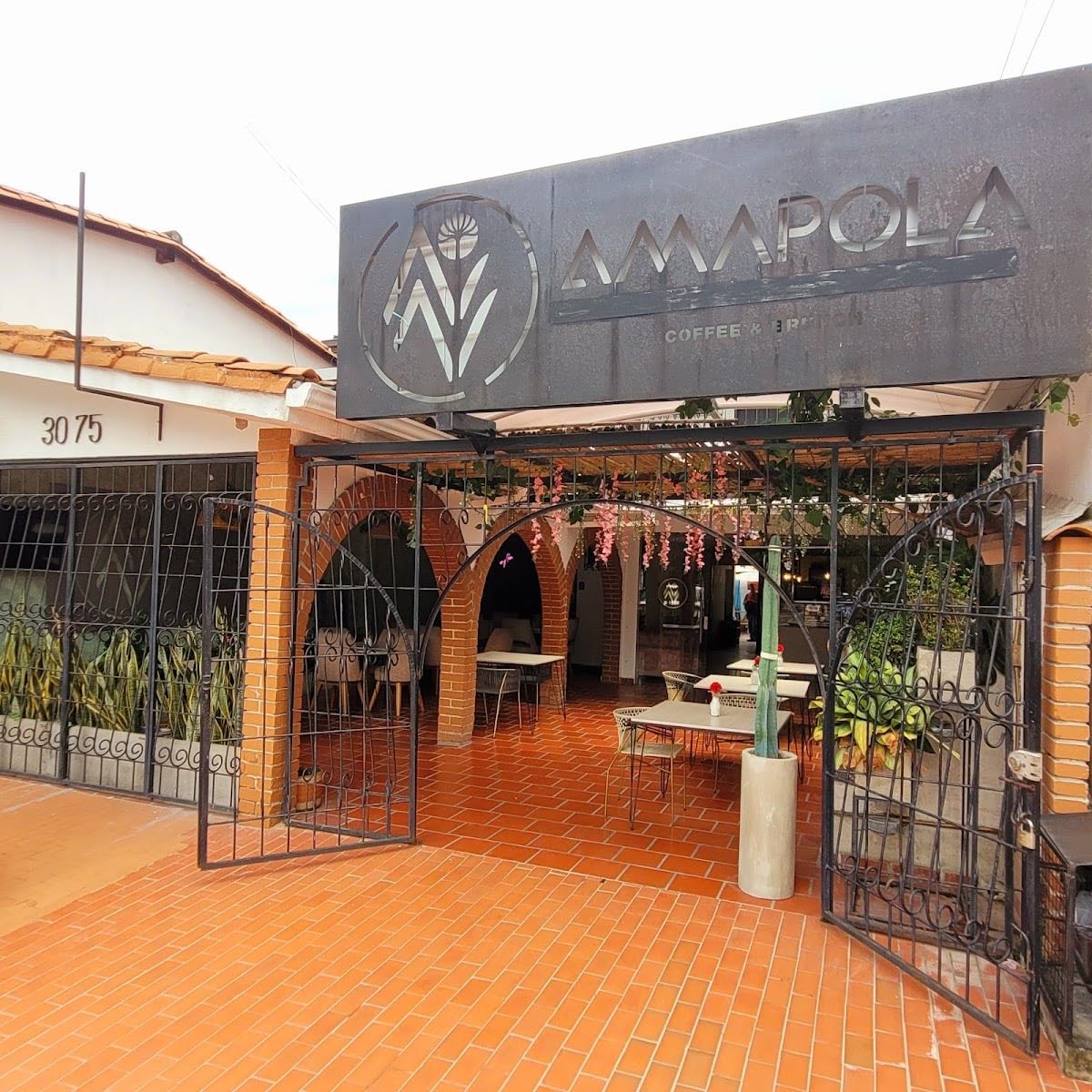 Amapola
