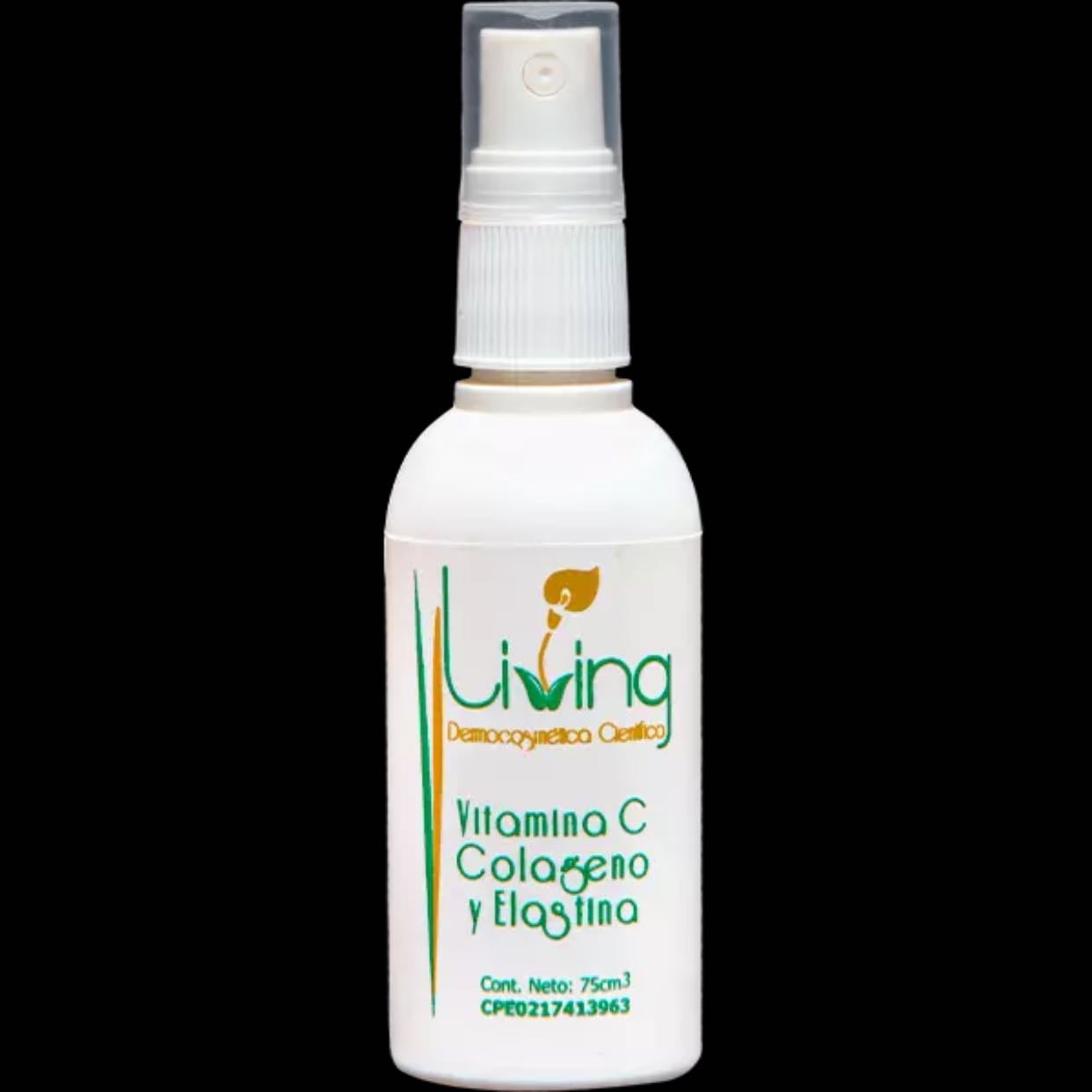 Vitamina C - Colageno y elastina