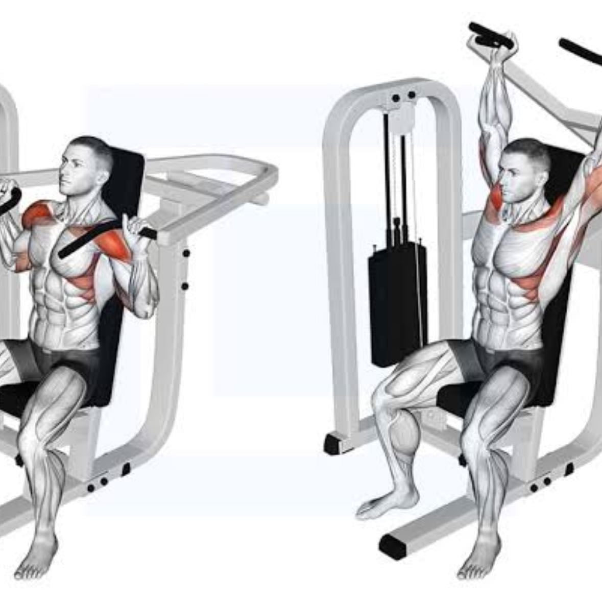 shoulder press