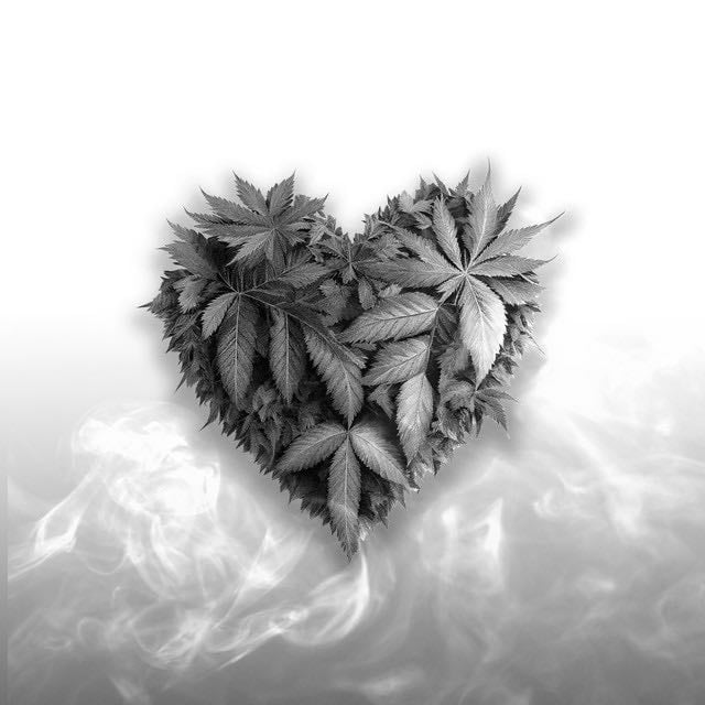 TE AMO - Song 路 JC Reyes, Uve