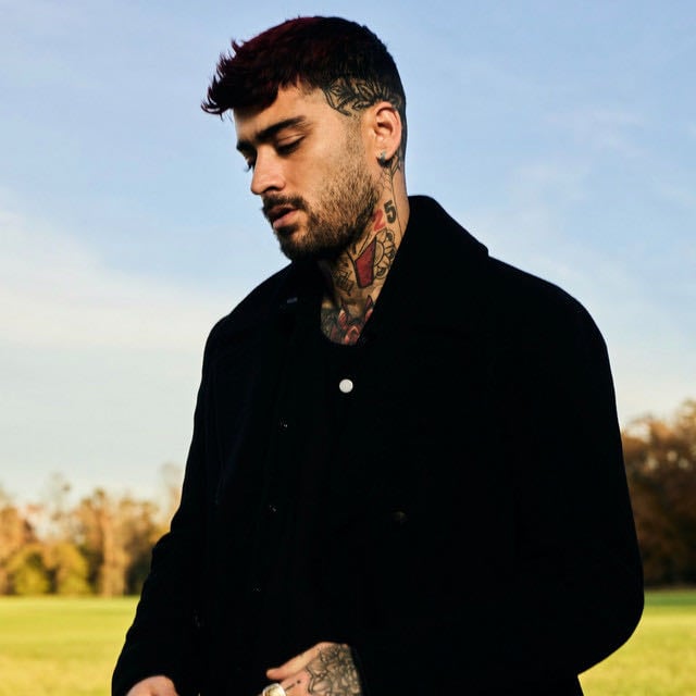 ZAYN - Artist