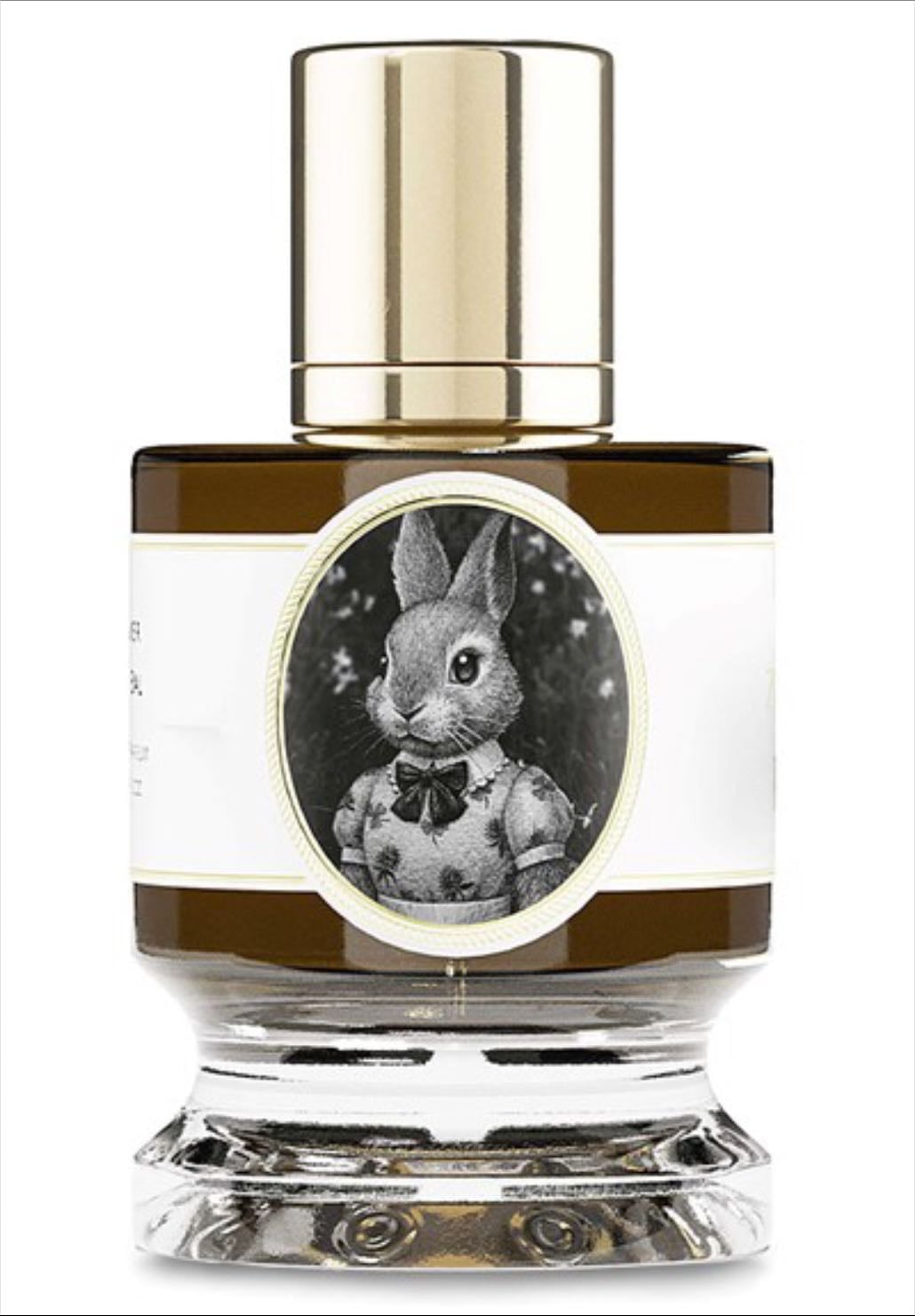 Rabbit - Zoology